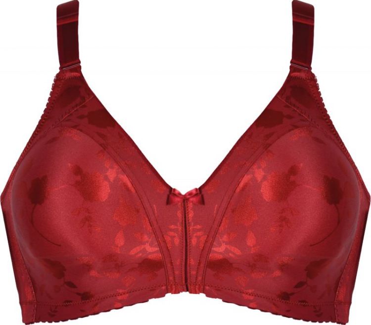 dames 649