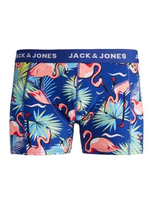 JACSKULL ANIMALS TRUNKS STS 175933 Surf the