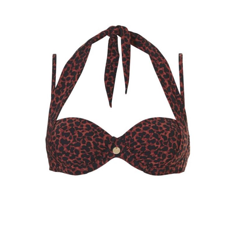 2192 leopard