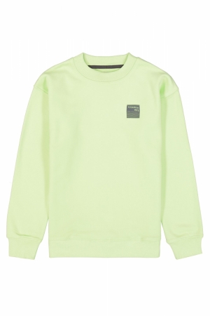  8668-green lime
