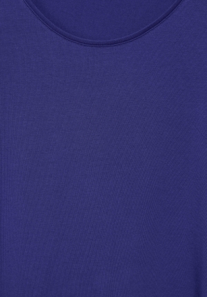  15817 violet bl