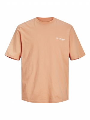 JORSEQUOIA BACK TEE SS CREW NE 177404 Canyon S