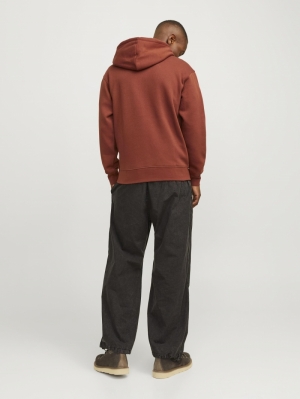 JORVESTERBRO SWEAT HOOD NOOS 226896 Brandy B