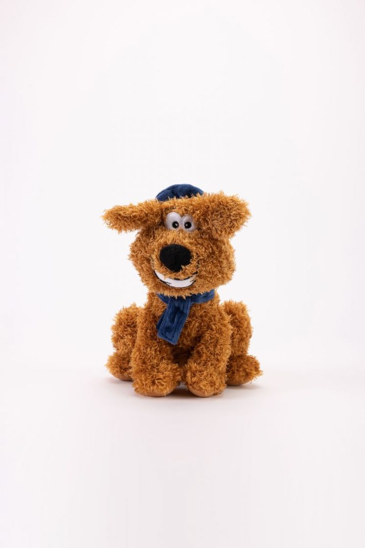 acc 010 labradoodle