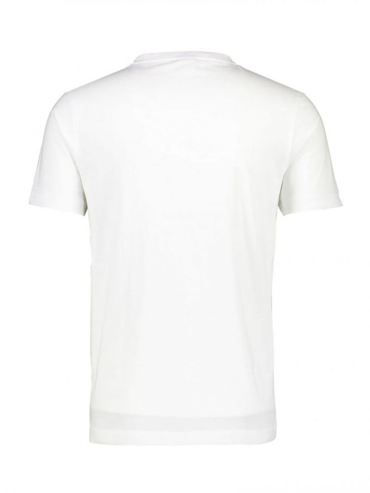  100 WHITE
