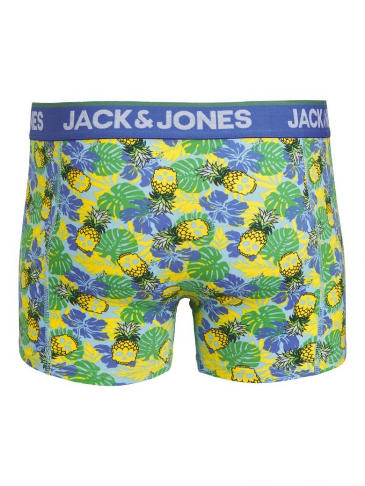 JACPINEAPPLE SKULL TRUNKS 3 PA 175887001 Palac