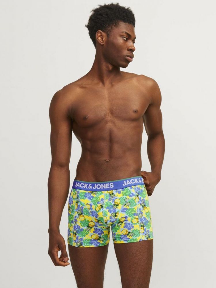 JACPINEAPPLE SKULL TRUNKS 3 PA 175887001 Palac