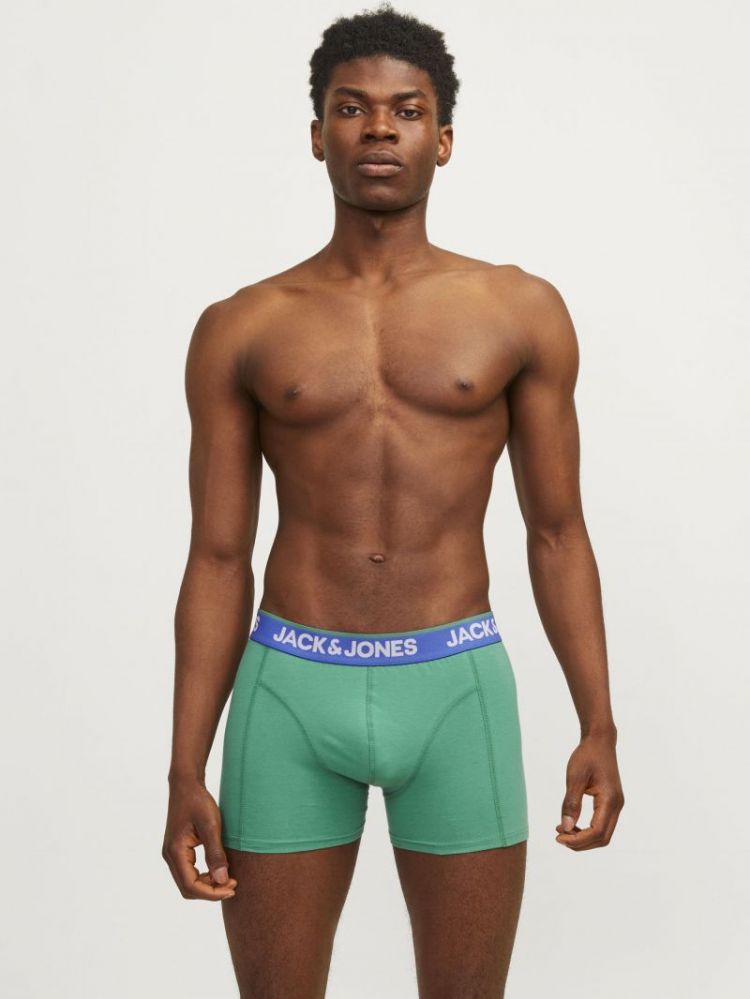 JACPINEAPPLE SKULL TRUNKS 3 PA 175887001 Palac