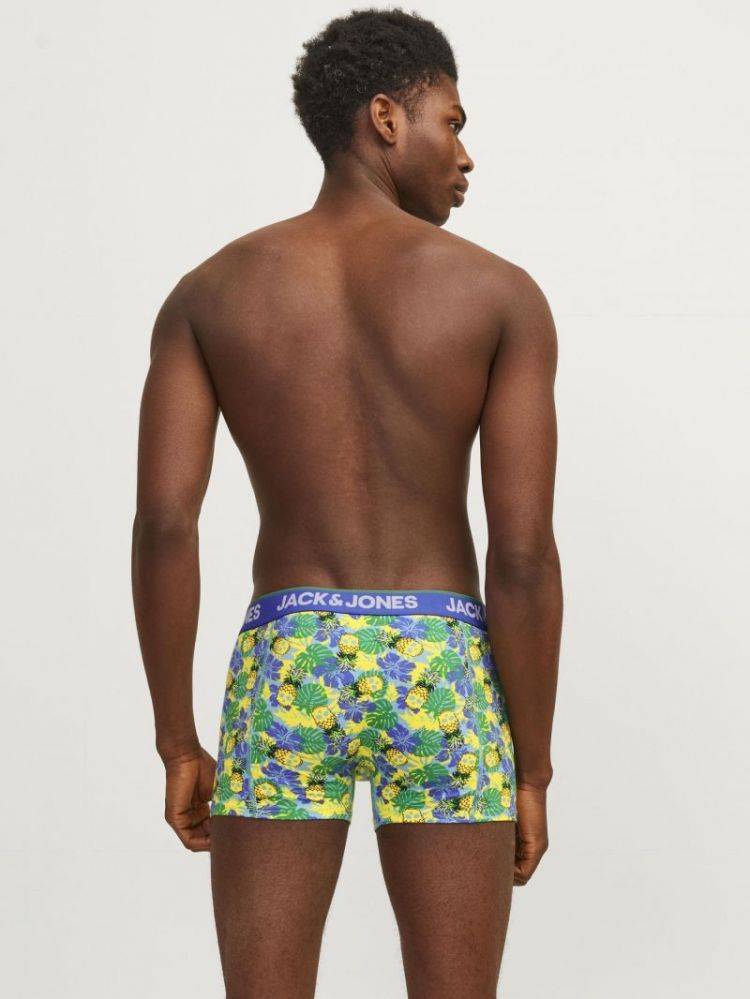 JACPINEAPPLE SKULL TRUNKS 3 PA 175887001 Palac