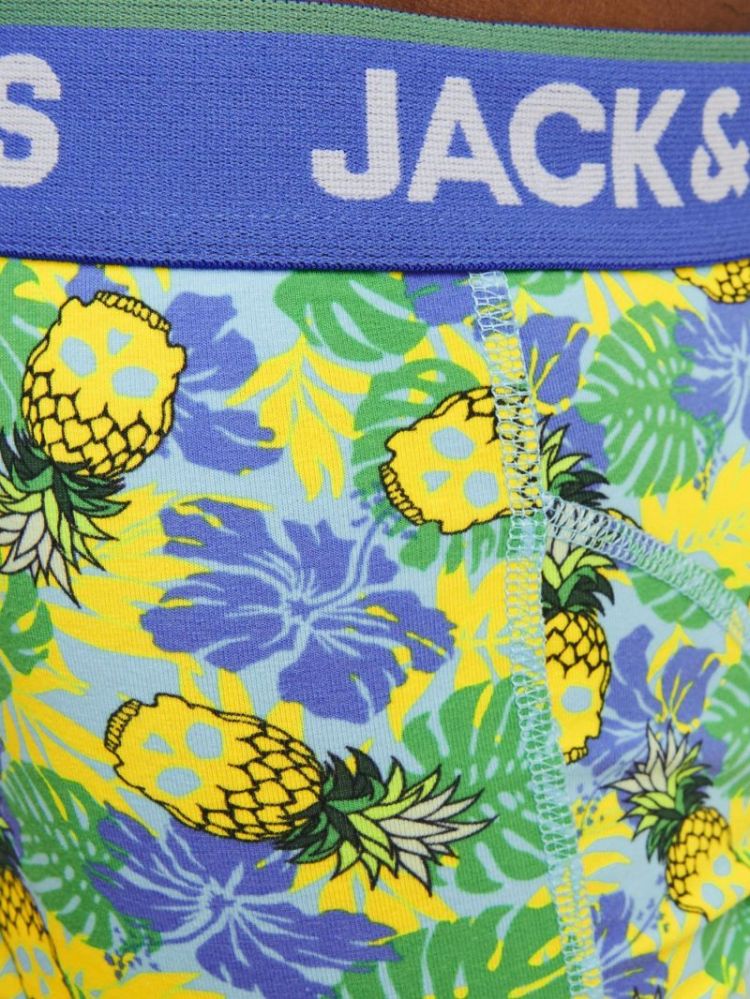 JACPINEAPPLE SKULL TRUNKS 3 PA 175887001 Palac