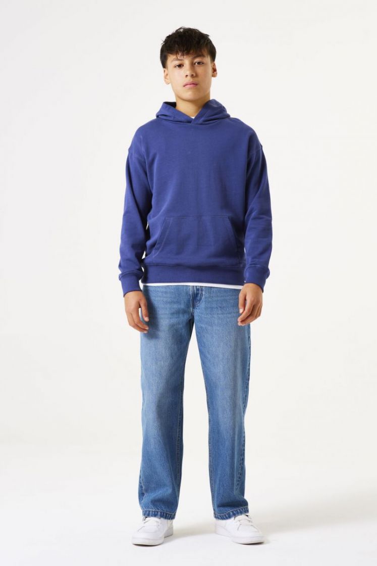  2858-whale blue