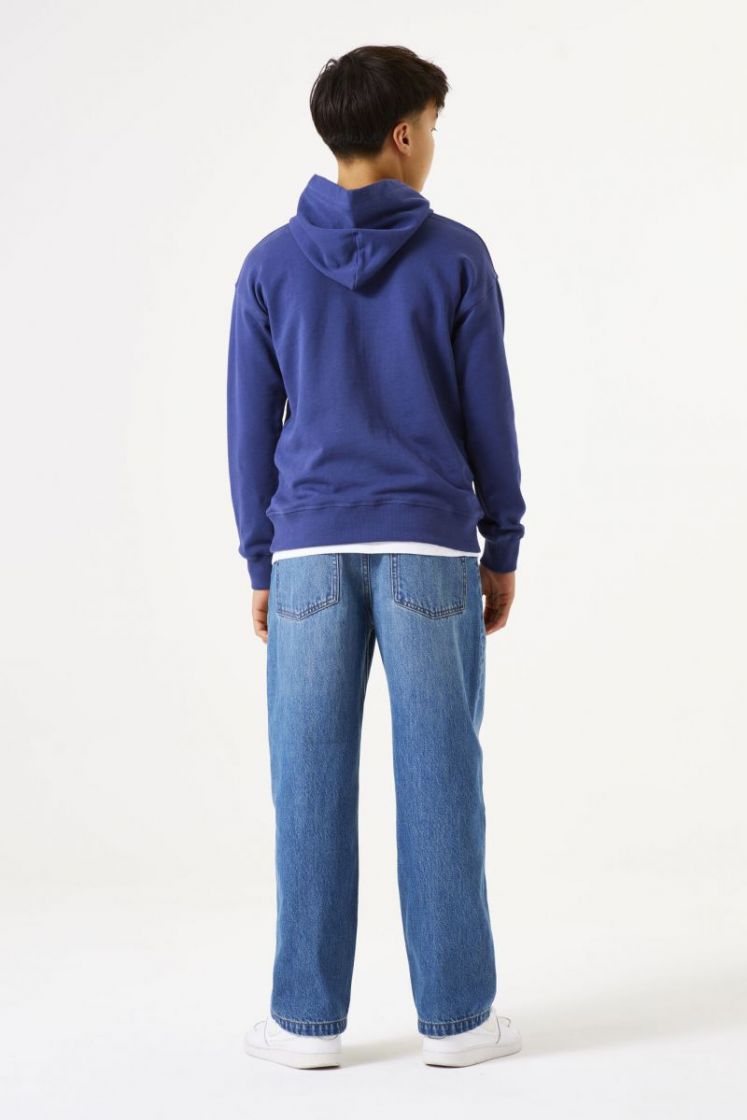 2858-whale blue