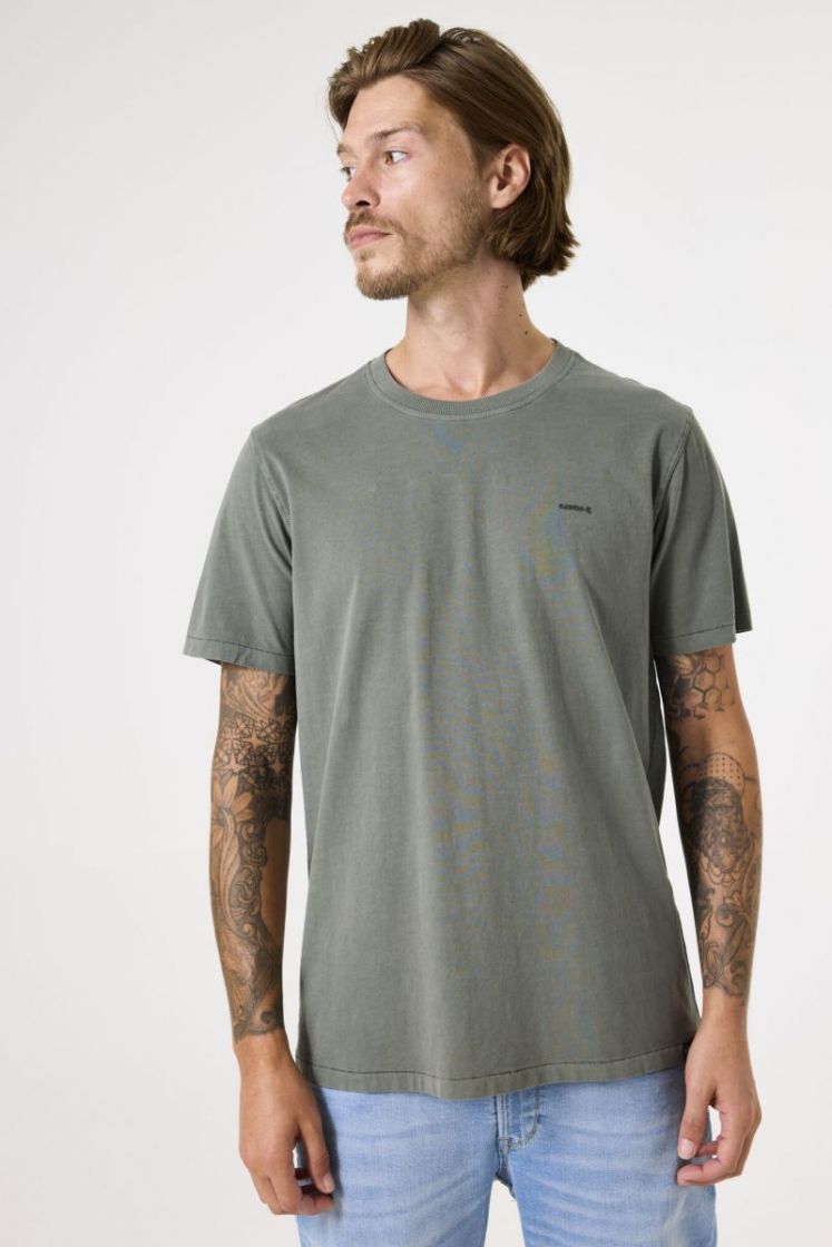  2050-sage green