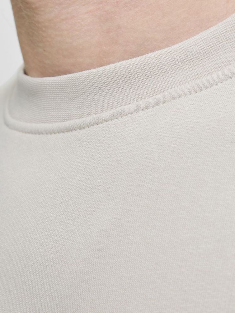 JJESOHO SWEAT CREW NECK NOOS 176631 Moonbeam