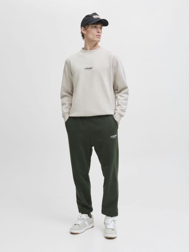JJESOHO SWEAT CREW NECK NOOS 176631 Moonbeam