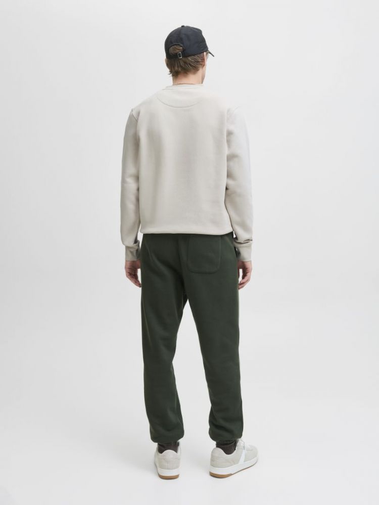 JJESOHO SWEAT CREW NECK NOOS 176631 Moonbeam