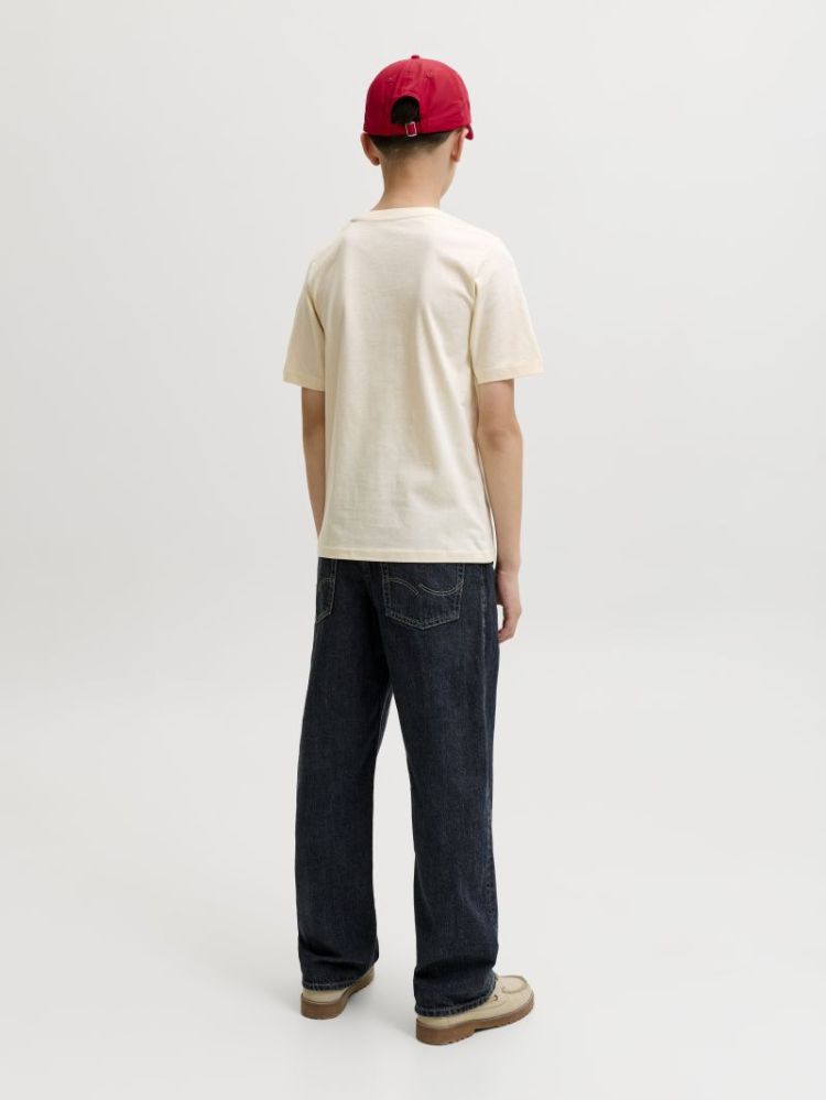 JORCASSIS TEE SS CREW NECK FST 177620 Antique