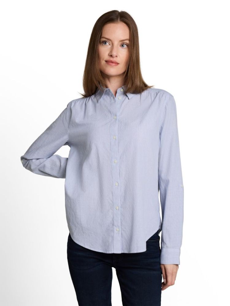  41120 fern blue