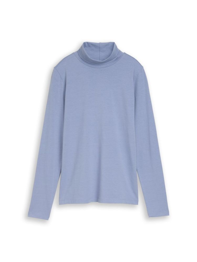 25708 fern blue