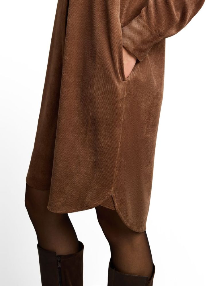  41102 camel