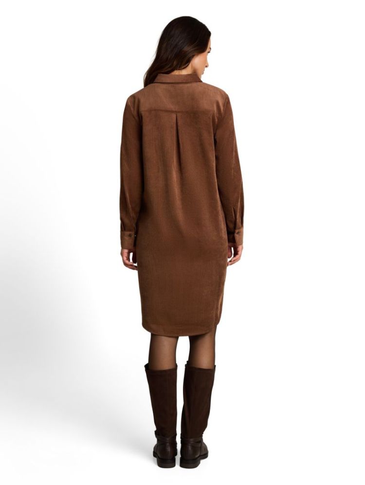 41102 camel