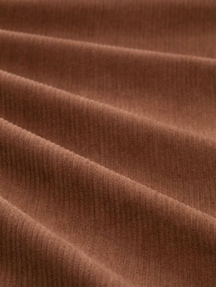  41102 camel