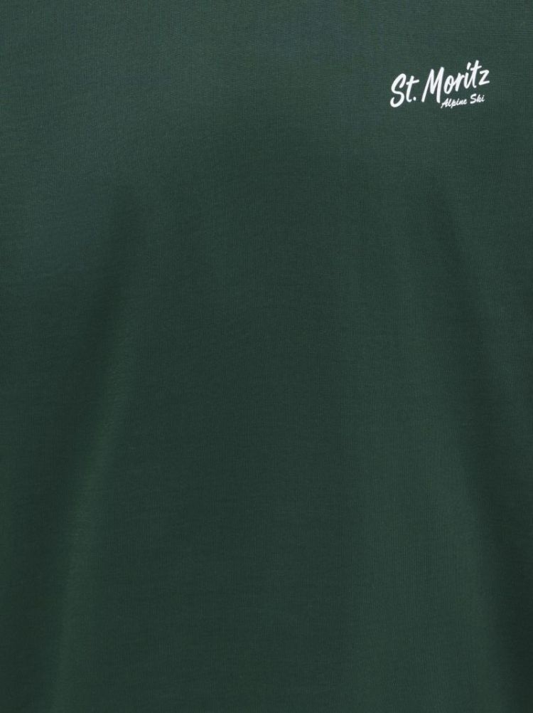 ONSFRED LIFE RLX SS PRINT TEE 206190034 Pine