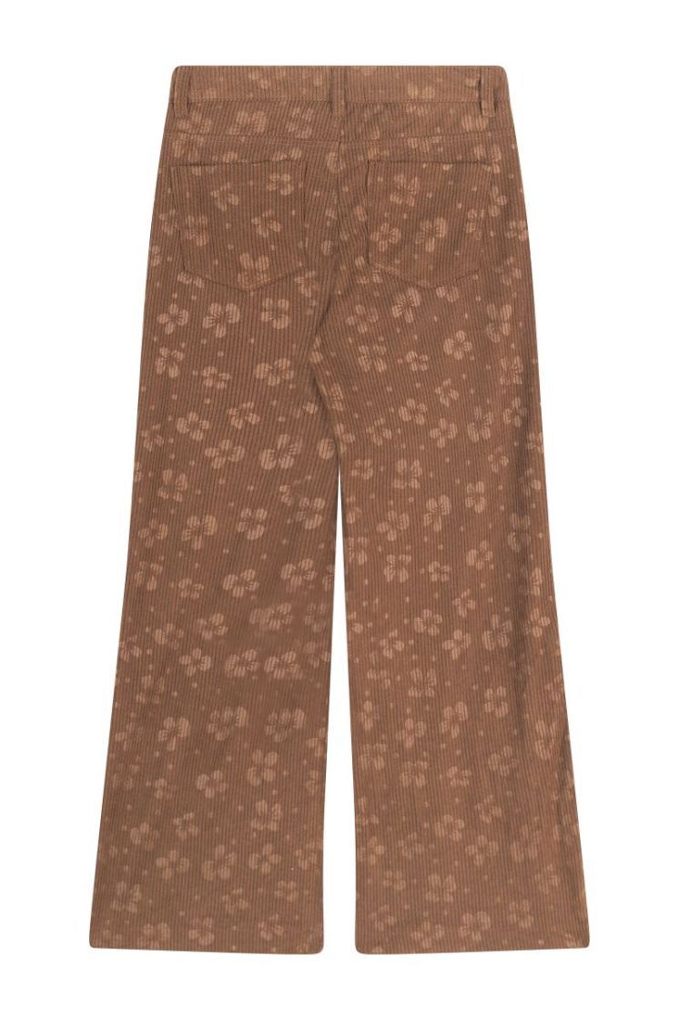  BN BROWN