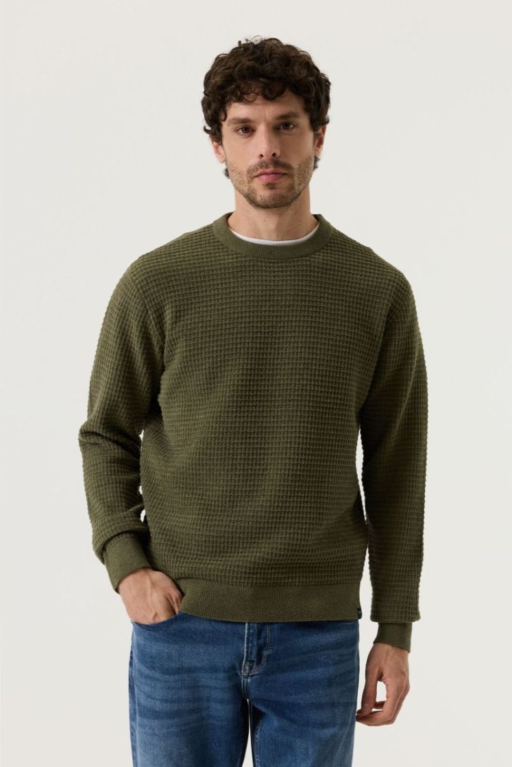 4163-sea kelp