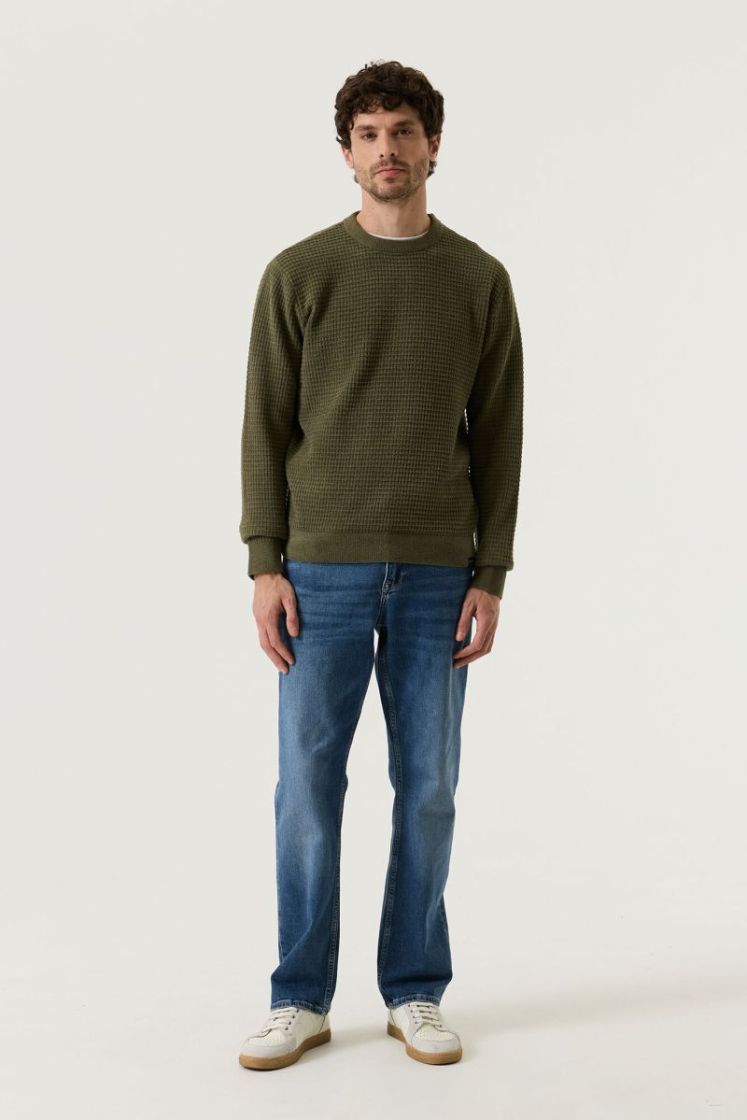  4163-sea kelp