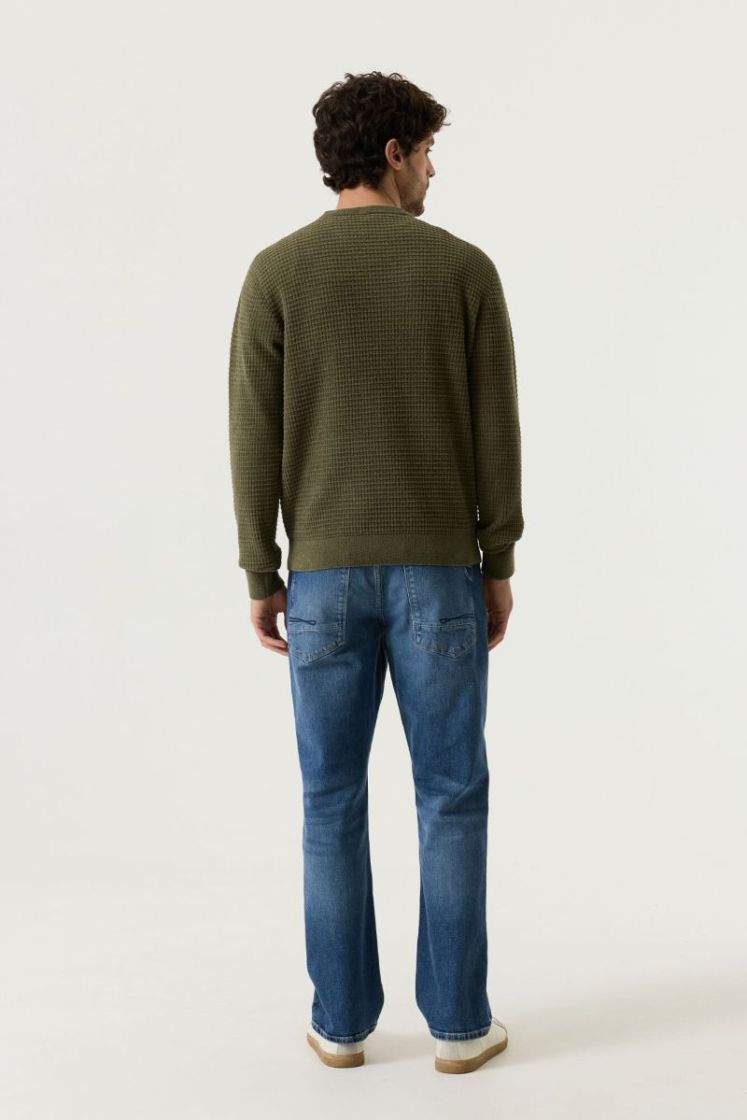 4163-sea kelp