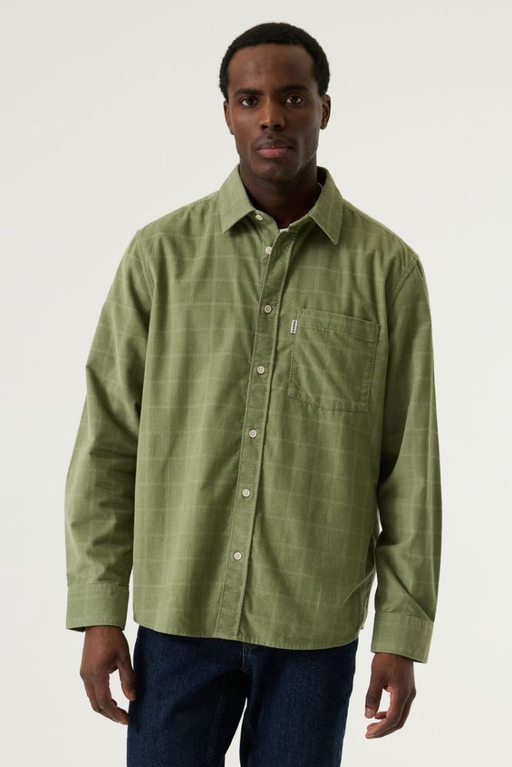 4163-sea kelp