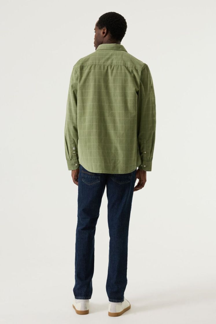 4163-sea kelp