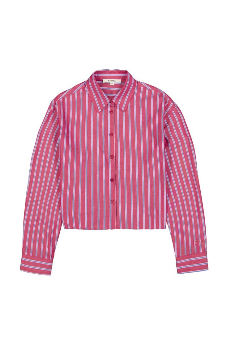  5818-candy rose
