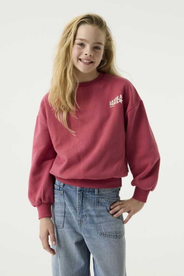  5818-candy rose
