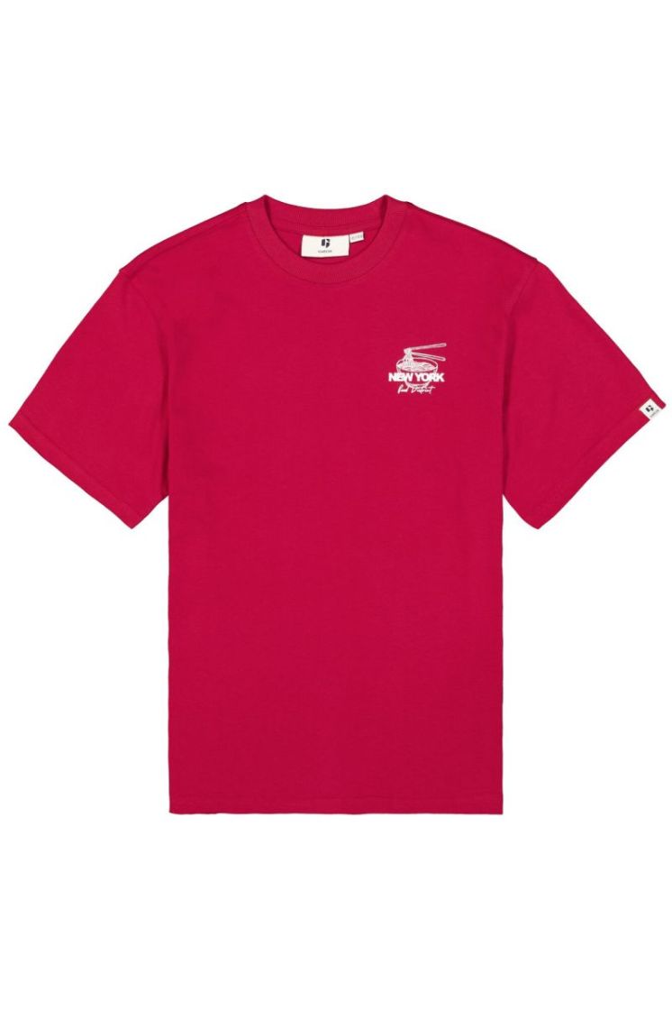 4252-red flame