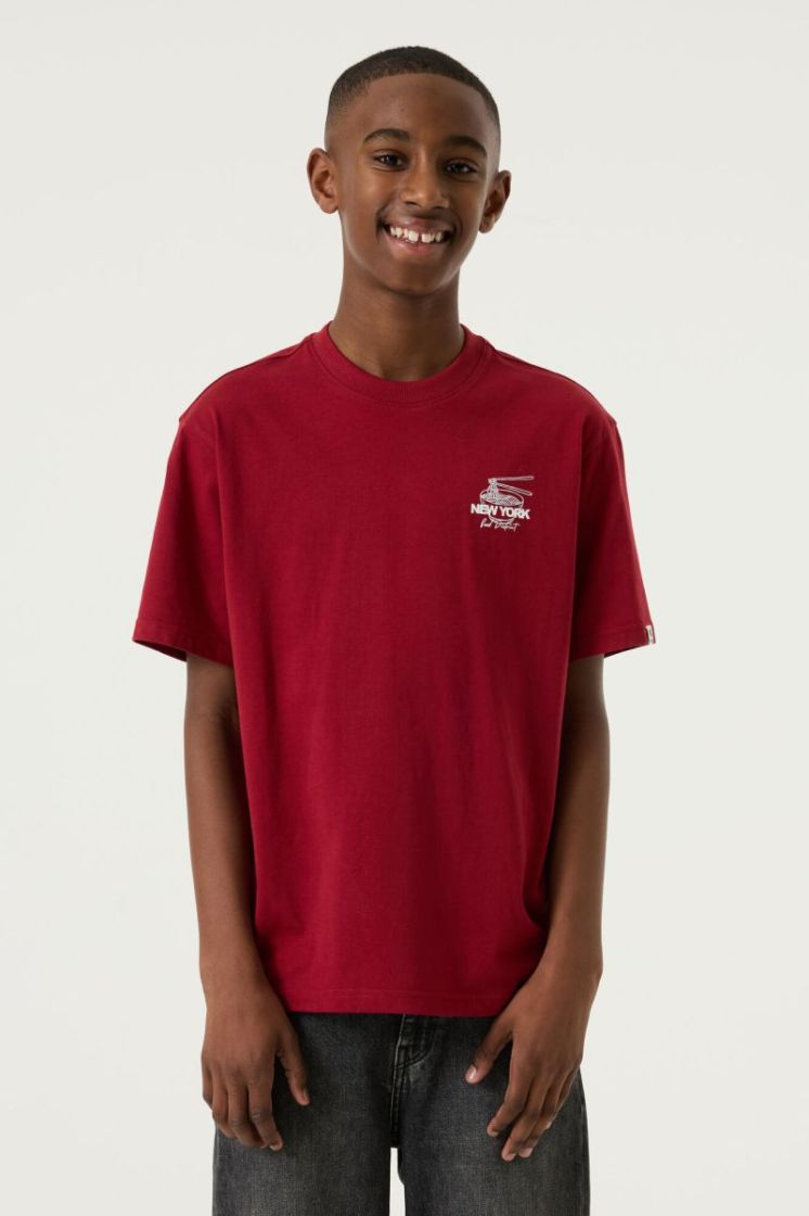 4252-red flame