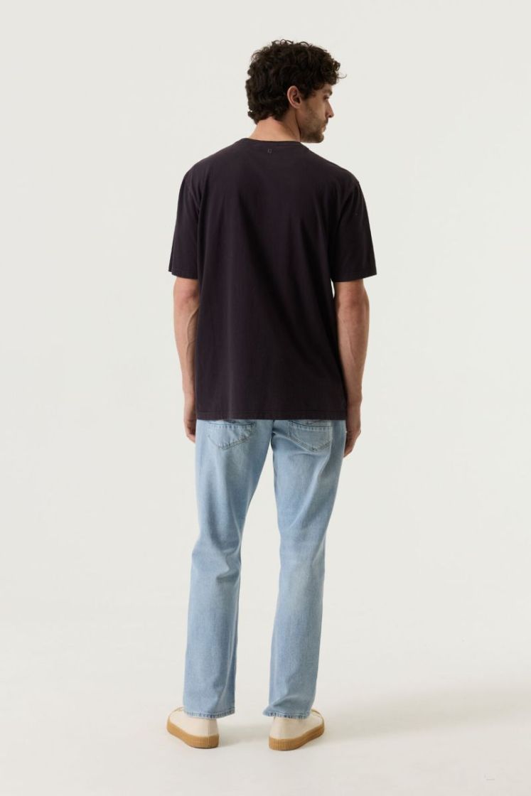 6134-raisin