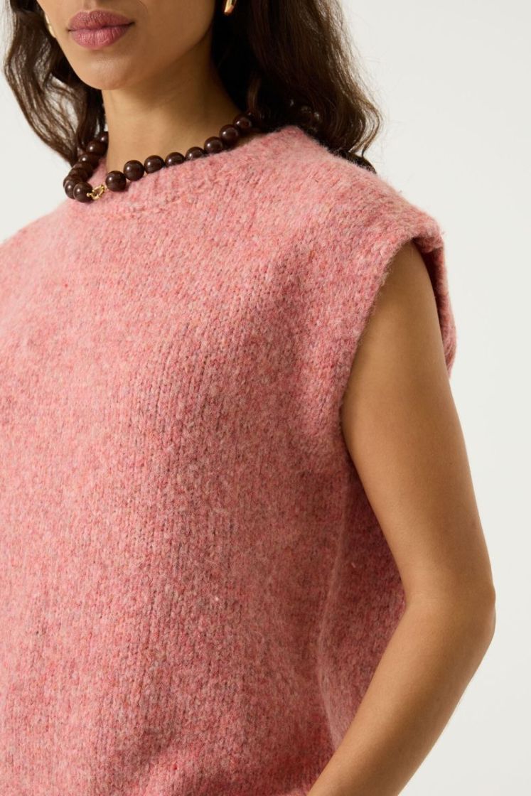  4508-coral dust