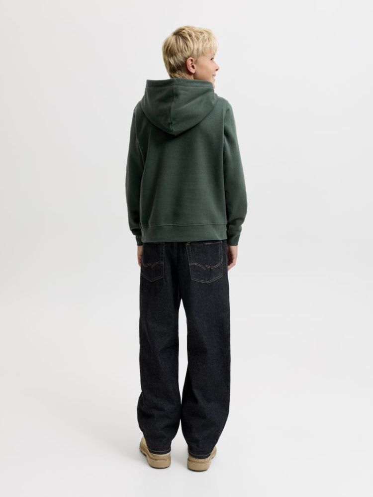 JJESOHO SWEAT HOOD NOOS JNR 177578 Scarab