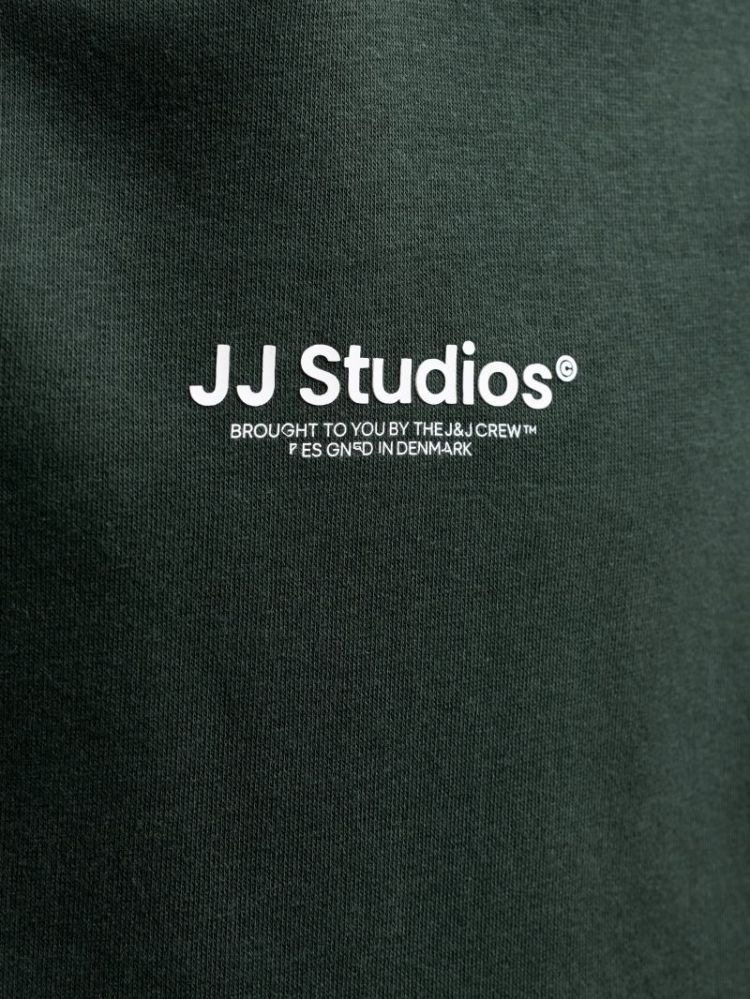 JJESOHO SWEAT HOOD NOOS JNR 177578 Scarab