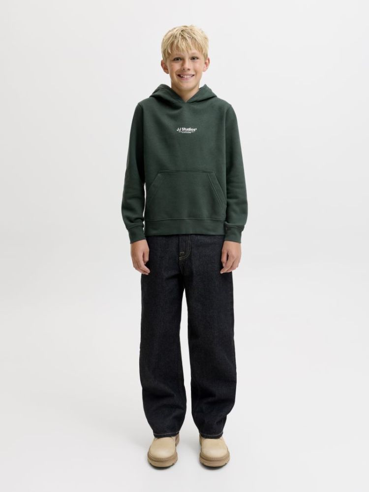 JJESOHO SWEAT HOOD NOOS JNR 177578 Scarab