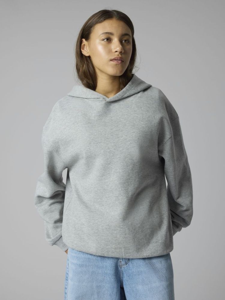 NLNNEVO LS L BRU SWEAT W. HOOD 179334 Grey Mel