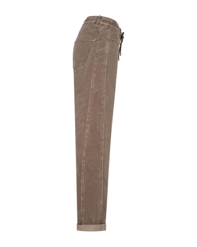 DAMES Mud-L31