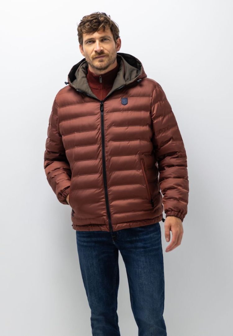  8942 donkerbrui