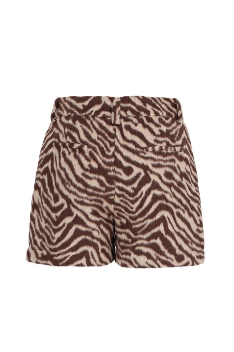 Girls Kids 916 Zebra