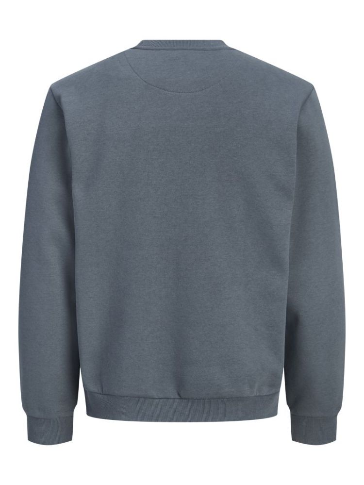JJEBRADLEY SWEAT CREW NOOS 176720 Turbulen