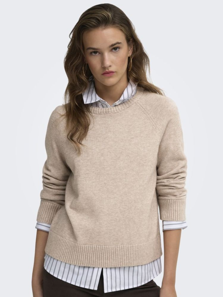 ONLPRINCESS LS O-NECK RAGLAN K 278275001 Mocha