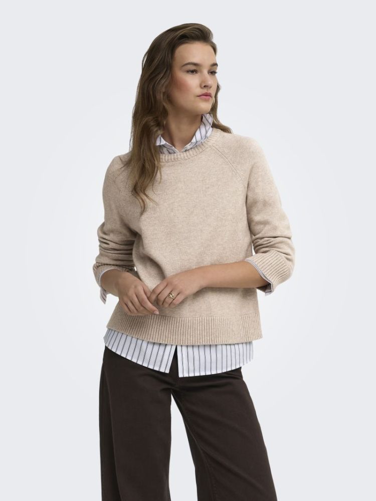 ONLPRINCESS LS O-NECK RAGLAN K 278275001 Mocha