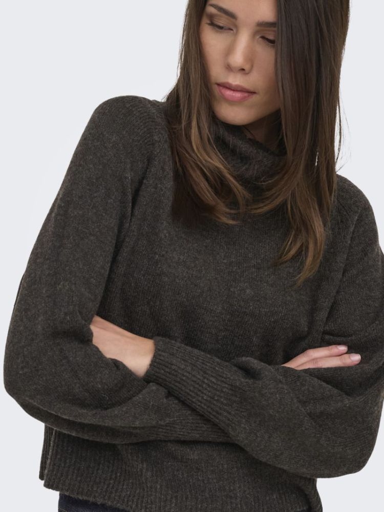 ONLOLIVIA LS ROLL NECK CC KNT 206971001 Mole/